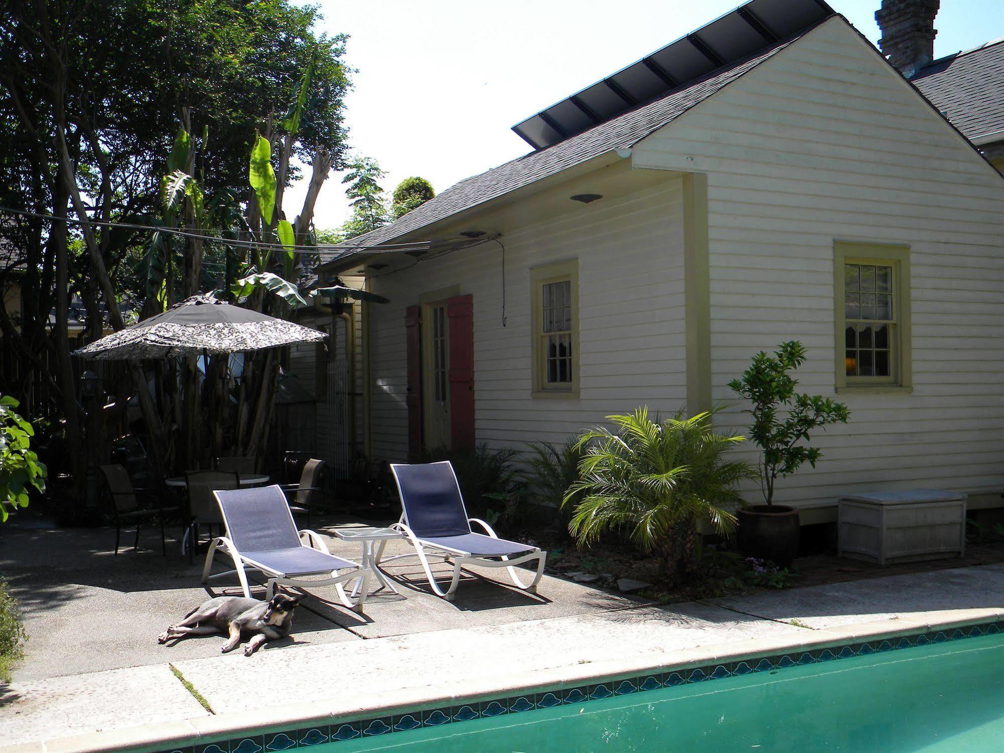 Bed and Breakfast Maison De Macarty New Orleans Exteriér fotografie